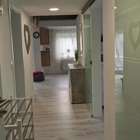 Nest Wangen im Allgäu