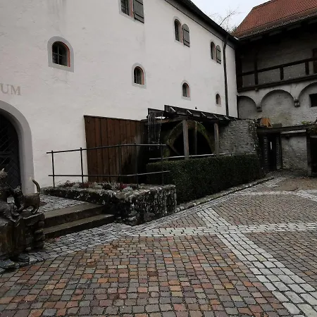 Nest Wangen im Allgäu