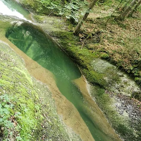 Nest Wangen im Allgäu