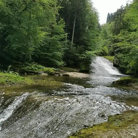 Nest Apartment Wangen im Allgäu