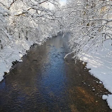 Nest Wangen im Allgäu